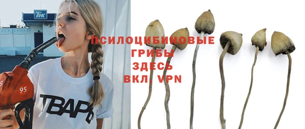 гашик Арсеньев