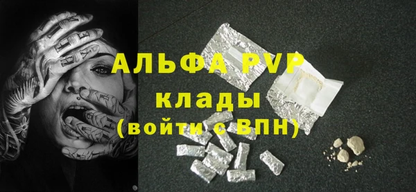 гашик Арсеньев