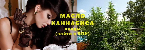 гашик Арсеньев