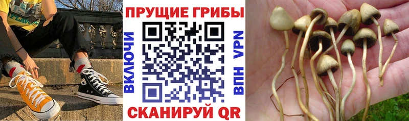 Галлюциногенные грибы Magic Shrooms  купить наркотик  Мамоново 